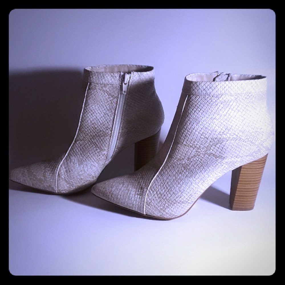 High heels Wild Diva Lounge booties
